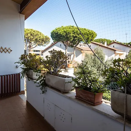 Apartment Near Rome *